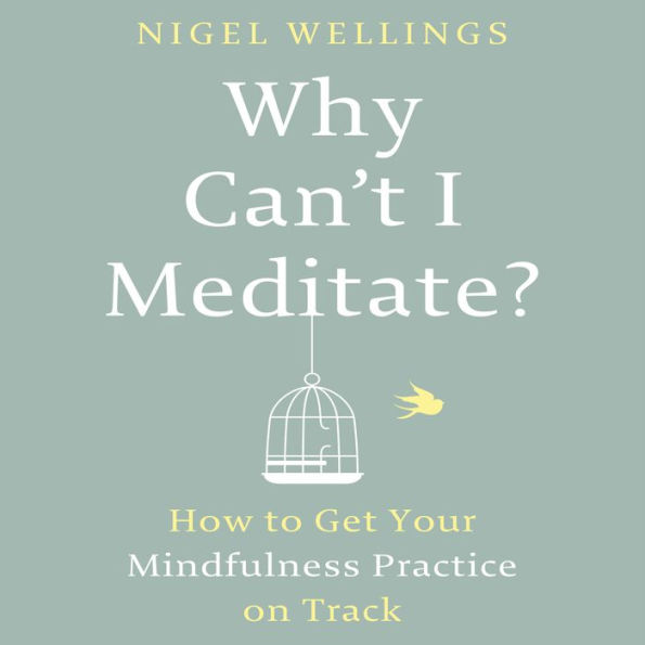 Why Can't I Meditate?: How to Get Your Mindfulness Practice on Track