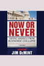 Now or Never: Saving America from Economic Collapse