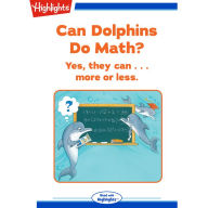 Can Dolphins Do Math?