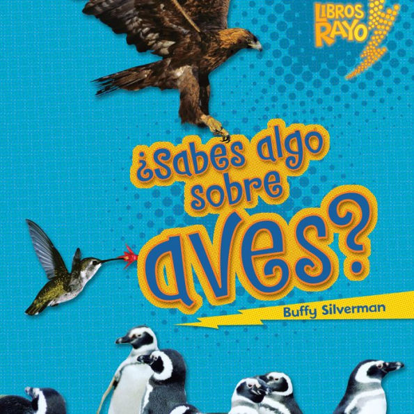 ¿Sabes algo sobre aves? (Do You Know about Birds?)