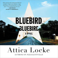 Bluebird, Bluebird: A Novel