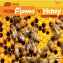 From Flower to Honey