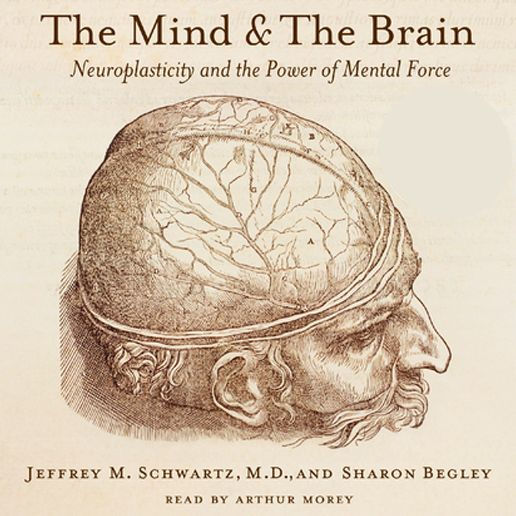 The Mind and the Brain: Neuroplasticity and the Power of Mental Force