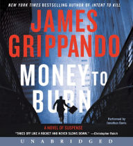 Money to Burn: A Novel of Suspense