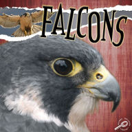 Falcons: Rourke Discovery Library