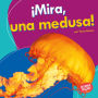 ¡Mira, una medusa! (Look, a Jellyfish!)