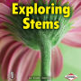 Exploring Stems