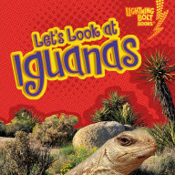 Let's Look at Iguanas