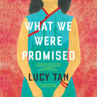 What We Were Promised: A Novel