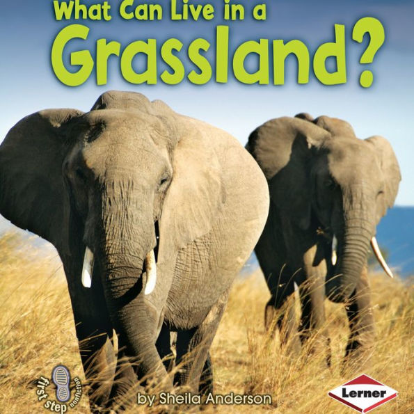 What Can Live in a Grassland?