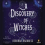 A Discovery of Witches