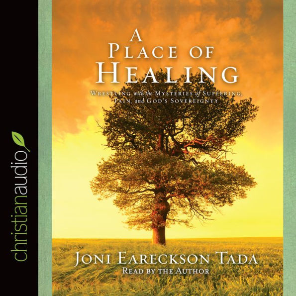 A Place of Healing: Wrestling with the Mysteries of Suffering, Pain, and God's Sovereignty