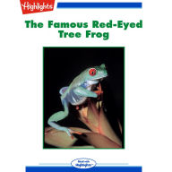 The Famous Red-Eyed Tree Frog