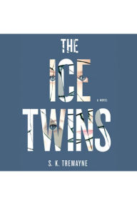 The Ice Twins: A Novel