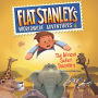 The African Safari Discovery (Flat Stanley's Worldwide Adventures Series #6)