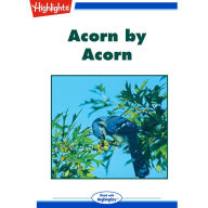 Acorn by Acorn
