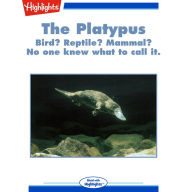 The Platypus