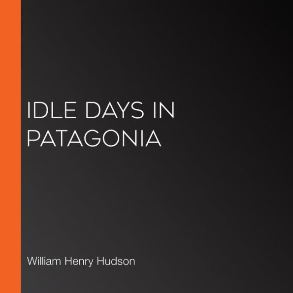 Idle Days in Patagonia