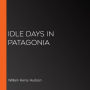 Idle Days in Patagonia