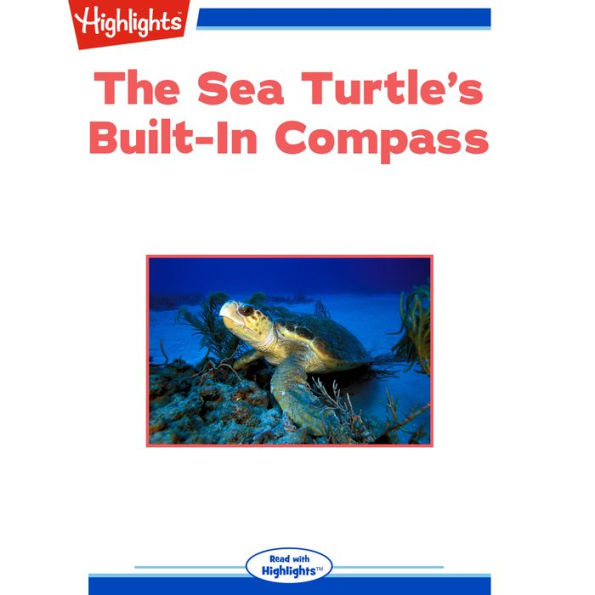 The Sea Turtle's Built-In Compass