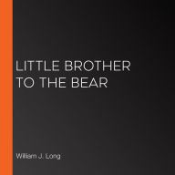 Little Brother to the Bear