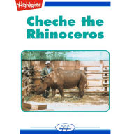Cheche the Rhinoceros