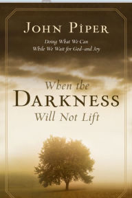 When the Darkness Will Not Lift : Doing What We Can While We Wait for God--and Joy