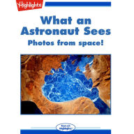 What an Astronaut Sees