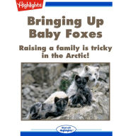 Bringing Up Baby Foxes