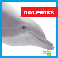 Dolphins