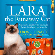 Lara The Runaway Cat: One cat's journey to discover home is where the heart is