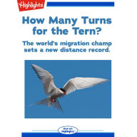 How Many Turns for the Tern?