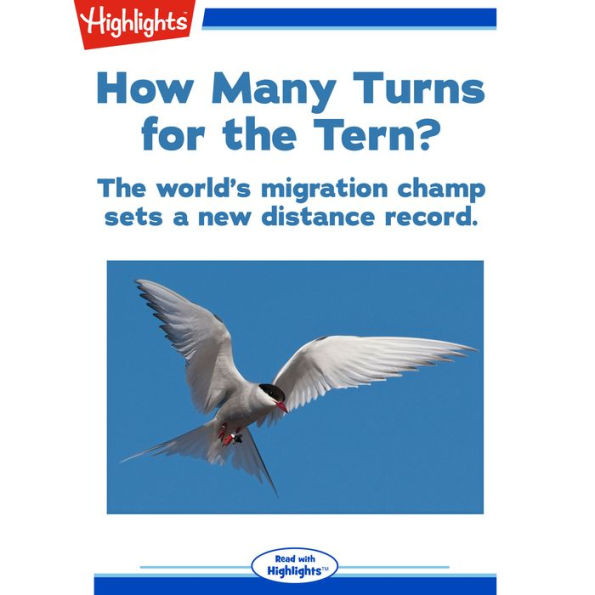 How Many Turns for the Tern?