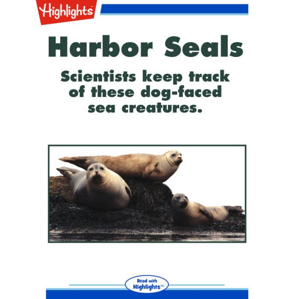 Harbor Seals