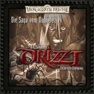 Drizzt - Die Saga vom Dunkelelf 14: Gefährliche Begegnung