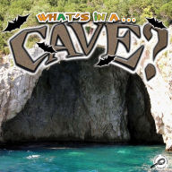 What's In A Cave?
