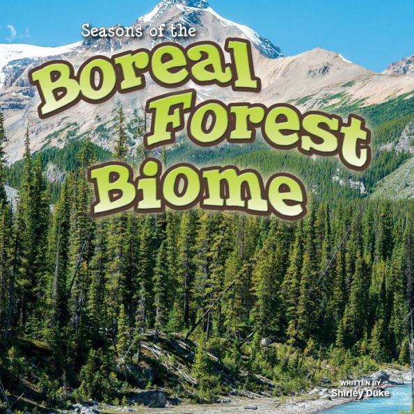 Seasons Of The Boreal Forest Biome