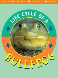 Life Cycle of a Bullfrog: Life Science - Life Cycles