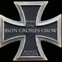 Where the Iron Crosses Grow: The Crimea 1941-44
