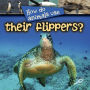 How Do Animals Use Their Flippers?