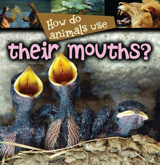 How Do Animals Use Their Mouths?