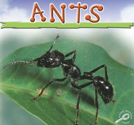 Ants: Life Science - Insects Discovery Library
