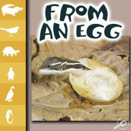 From an Egg: Life Science - Let's Look at Animals