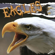 Eagles: Rourke Discovery Library