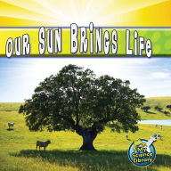 Our Sun Brings Life