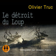 Le détroit du Loup