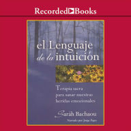 El lenguaje de la intuicion