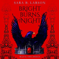 Bright Burns the Night: Dark Breaks the Dawn, Book 2