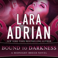 Bound to Darkness (Midnight Breed Series #13)