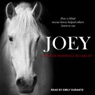 Joey: How a Blind Rescue Horse Helped Others Learn to See